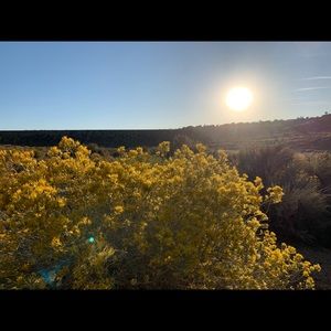 Meet your Posher, Mabel